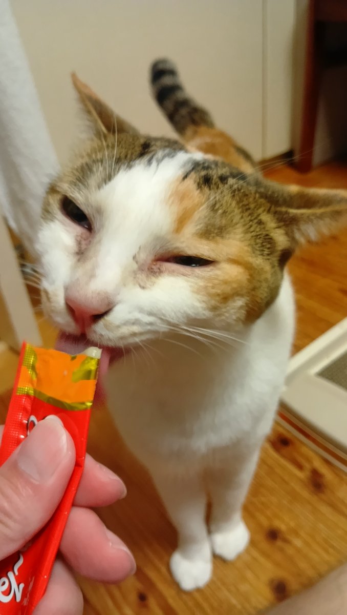 mbehouse's tweet photo. ピントが合ってない
雰囲気でヨシ！だね https://t.co/3ECH32vddU