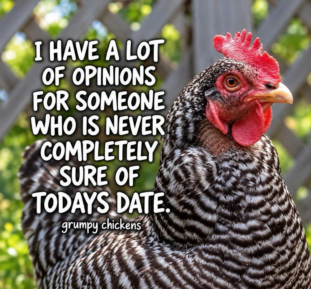 ArtChicken4's tweet photo. Good morning https://t.co/SUAtVHBlaR