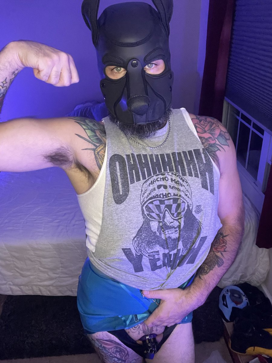 counterpartnik's tweet photo. Locktober is just the start #teamlocked #locktober #pup #gaypup #chastity #bottomboi #gaysub https://t.co/a31nEysQTG