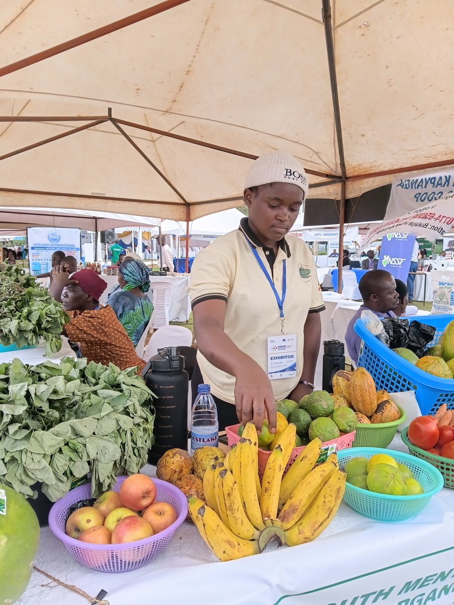 Youthinuganda's tweet photo. From little seedlings to big dreams! 🌿

​Honored to represent youth in agriculture at the MSME exhibition at St. James! Cultivating the soil to cultivate peace of mind. 🧠

​Special thanks to Enabel, FSME, and Uganda for supporting youth-led enterprises! 🇺🇬🌱 https://t.co/LL4pH09hsA