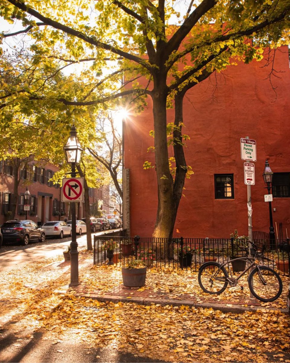 Do617's tweet photo. The leaves aren’t the only thing turning heads. Your weekly plans never looked better. 🗓️ 👀 🍂

📸: Juan Cheng https://t.co/XRMFjaCu0K