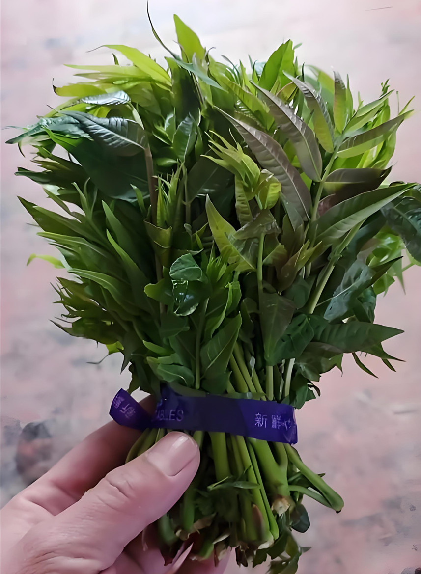 GeorgiaMerzsdx's tweet photo. En la ladera rocosa crece el zanthoxylum, y el sabor del tocino marinado es exquisito. https://t.co/2eAysl24yP