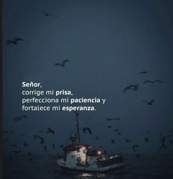 marialabarca23's tweet photo. https://t.co/jRQYY9dDG5