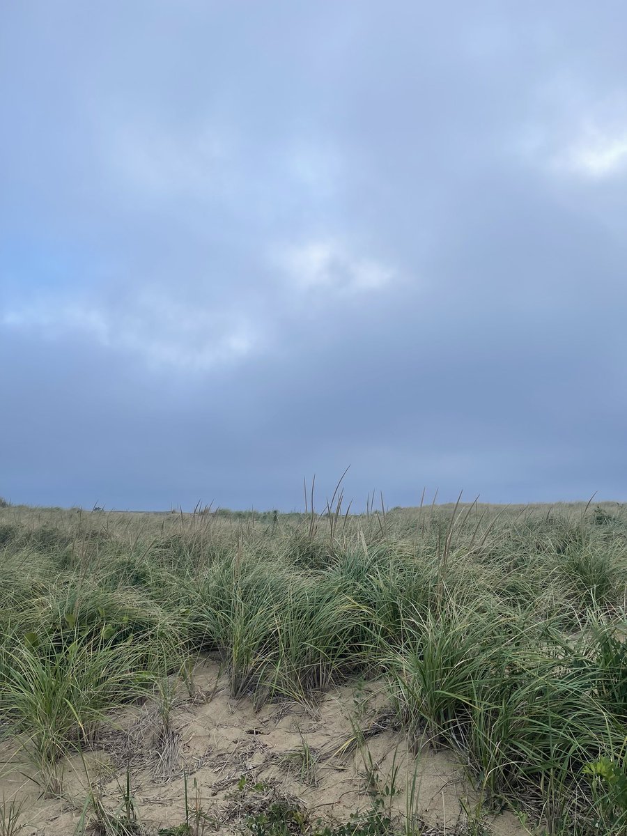 tmascachusetts's tweet photo. Decided to run to the closest beach because I have today off. It took an hour and my legs hurt but after I got a coffee ☕️ https://t.co/Rt7fa79USf