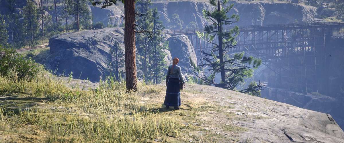 CarlyGBN7's tweet photo. #RedDeadOnline https://t.co/bZXyVgNuQV