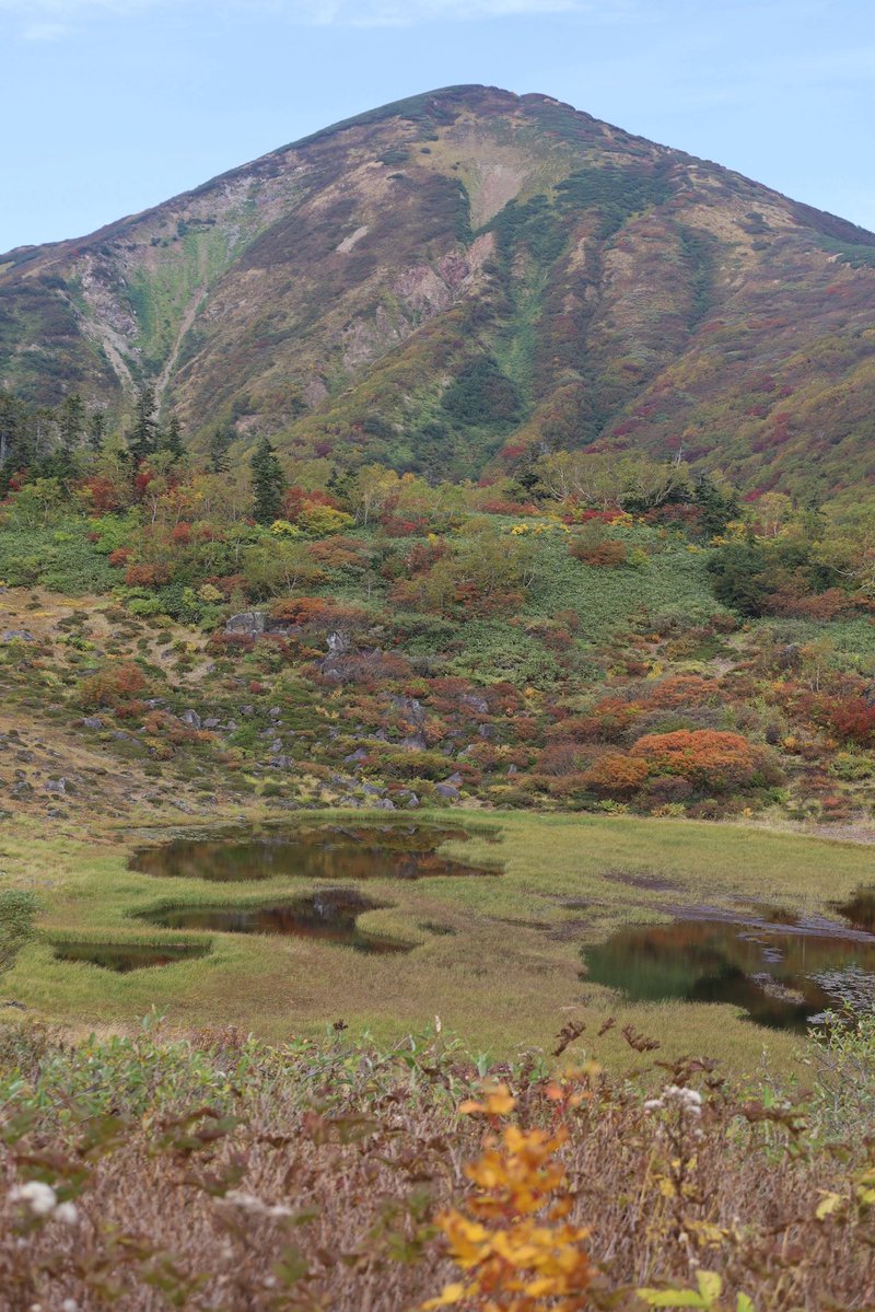 tadayoshi8585's tweet photo. 火打山の紅葉🍁 https://t.co/Bbd6VHaHD9