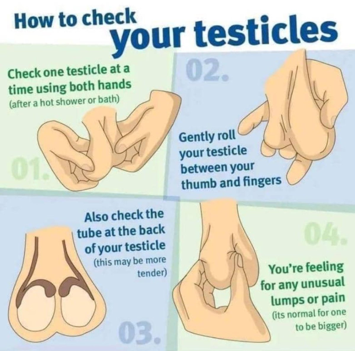 Blessy009's tweet photo. Gentlemen, this takes 2 minutes a month.
Warm shower, gentle roll, feel for changes.
Early detection saves lives. 💙 #TesticularCancerAwareness https://t.co/jrvuxgYmE0