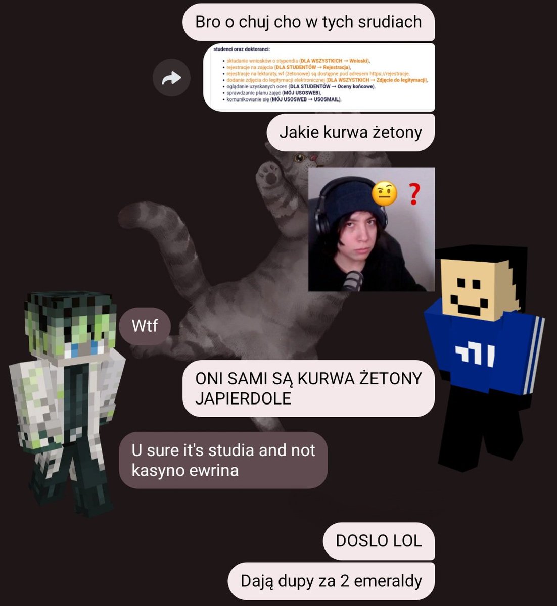 NaczosyNacho's tweet photo. Jakieś rozmowy moje i @FancyWine97 jako postacie z qsmp XDDDD
#qsmp2 https://t.co/5bBRK00QIf