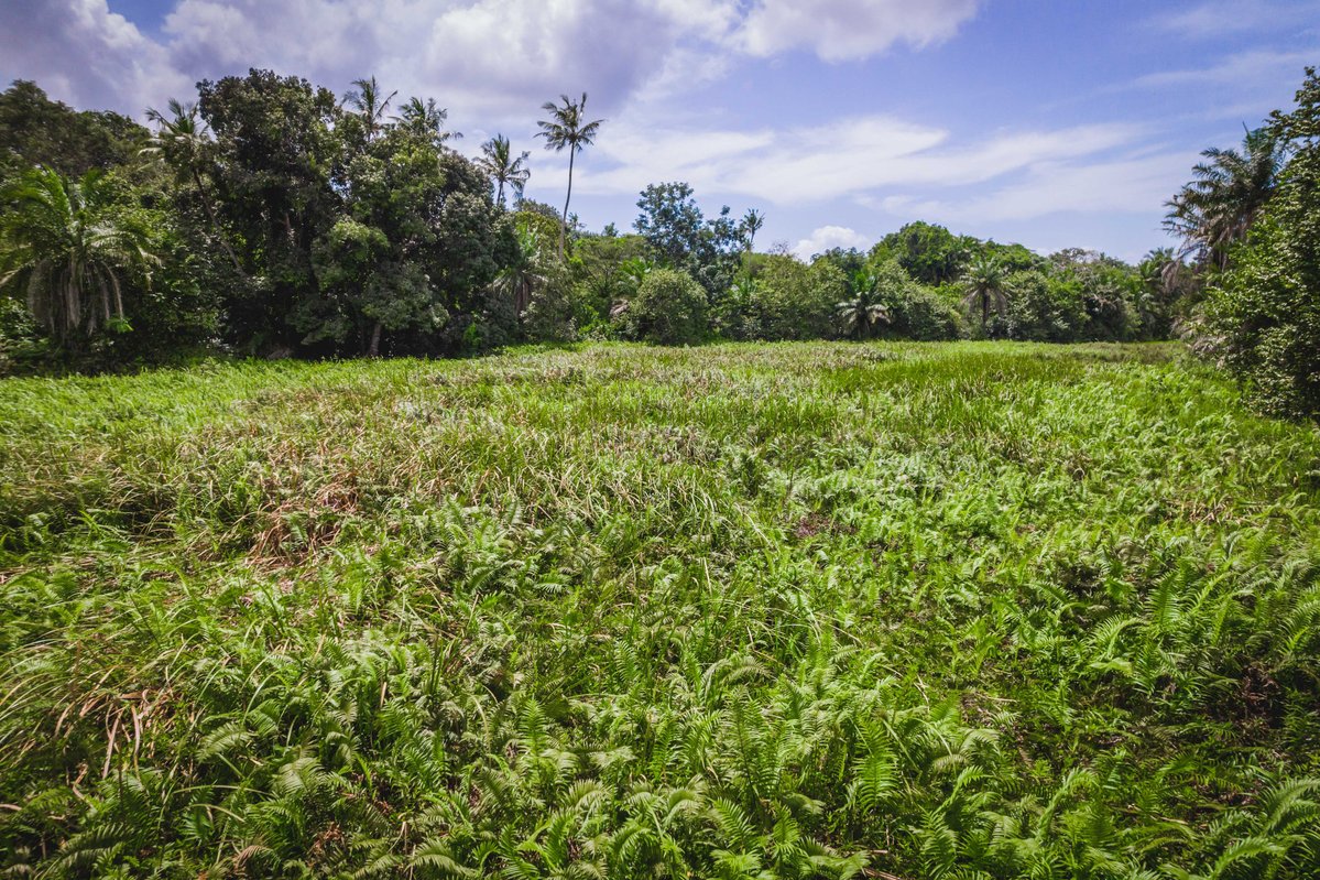 BaseTitanium's tweet photo. Thank you to TGBS and the Centre for Ecosystem Restoration–Kenya for bringing scientific rigour to the assessment of our progress.

Kwale’s legacy of responsible mining will be measured both by what it contributed during mining and by what continues to thrive after mining. https://t.co/vCHueuoSZt