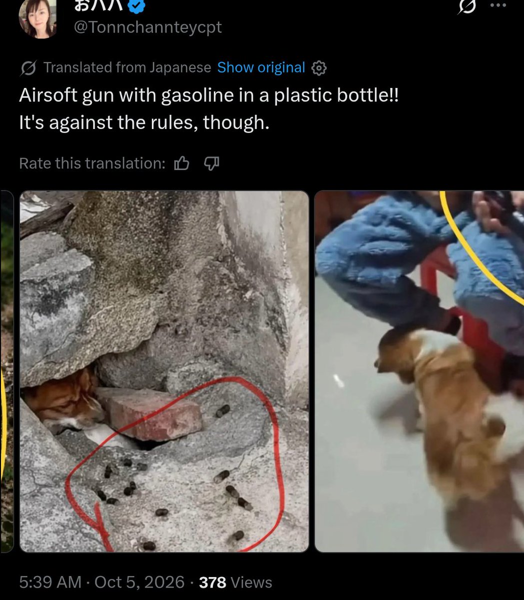 PhaedraXTeddy's tweet photo. Boys play in #China 🇨🇳 with guns that shoot gasoline. Illegal in #China but since the gun was used to abuse dogs , Chinese police let it pass. There is no #JusticeForWangWang #Pupmom in #China 🇨🇳 where animal abuse is condoned and acceptable to the Chinese government, more like desirable.