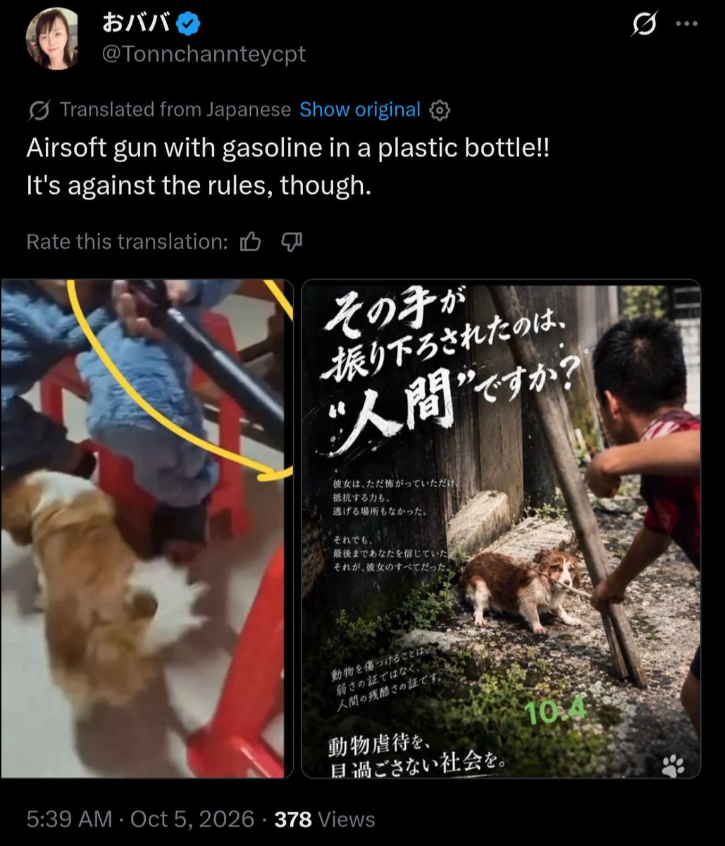 PhaedraXTeddy's tweet photo. Boys play in #China 🇨🇳 with guns that shoot gasoline. Illegal in #China but since the gun was used to abuse dogs , Chinese police let it pass. There is no #JusticeForWangWang #Pupmom in #China 🇨🇳 where animal abuse is condoned and acceptable to the Chinese government, more like desirable.