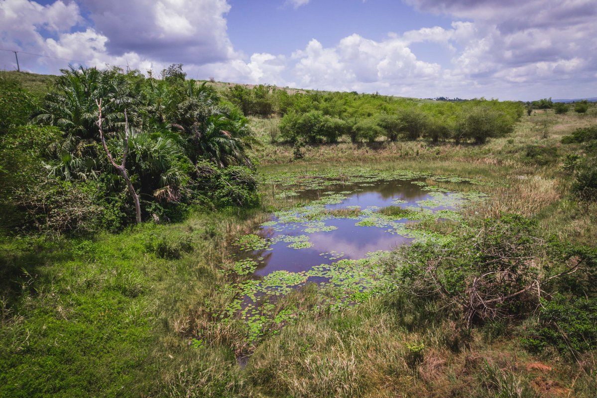 BaseTitanium's tweet photo. Thank you to TGBS and the Centre for Ecosystem Restoration–Kenya for bringing scientific rigour to the assessment of our progress.

Kwale’s legacy of responsible mining will be measured both by what it contributed during mining and by what continues to thrive after mining. https://t.co/vCHueuoSZt