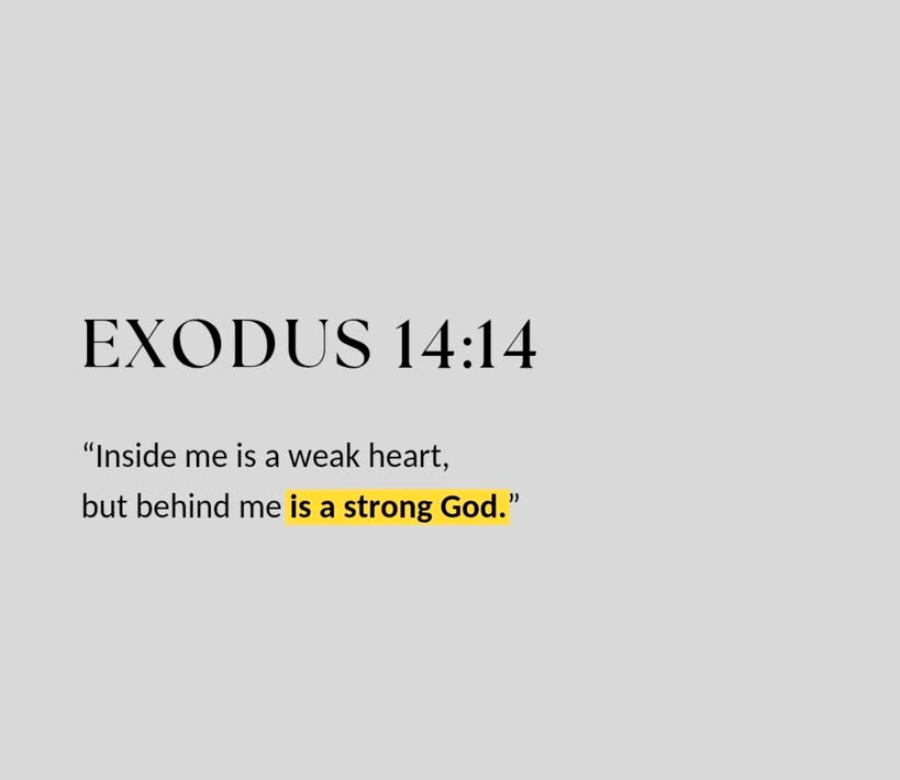 WalkwithGod7's tweet photo. https://t.co/PNF991DDqf
