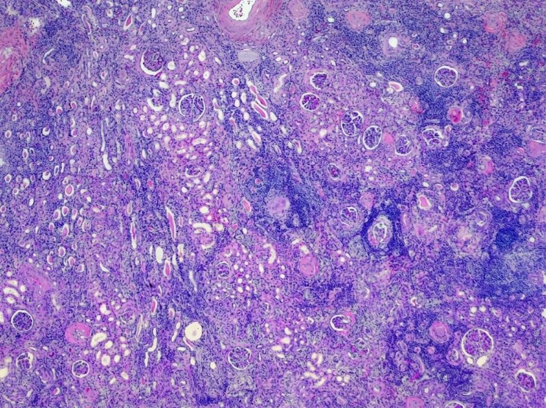 pathothama tweet picture