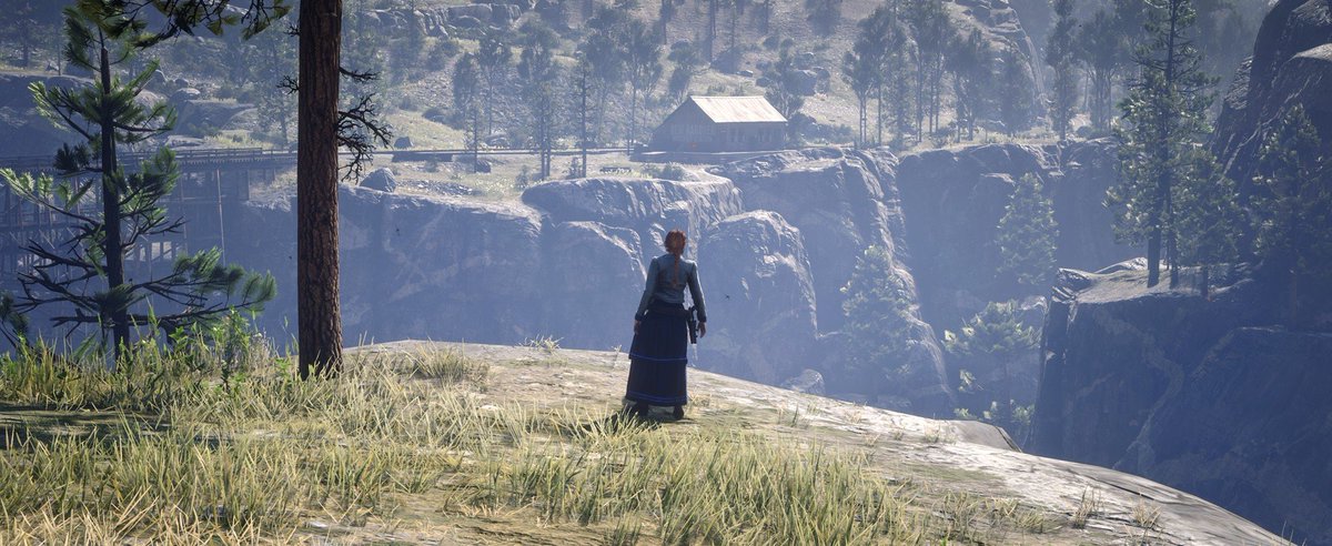 CarlyGBN7's tweet photo. #RedDeadOnline https://t.co/bZXyVgNuQV