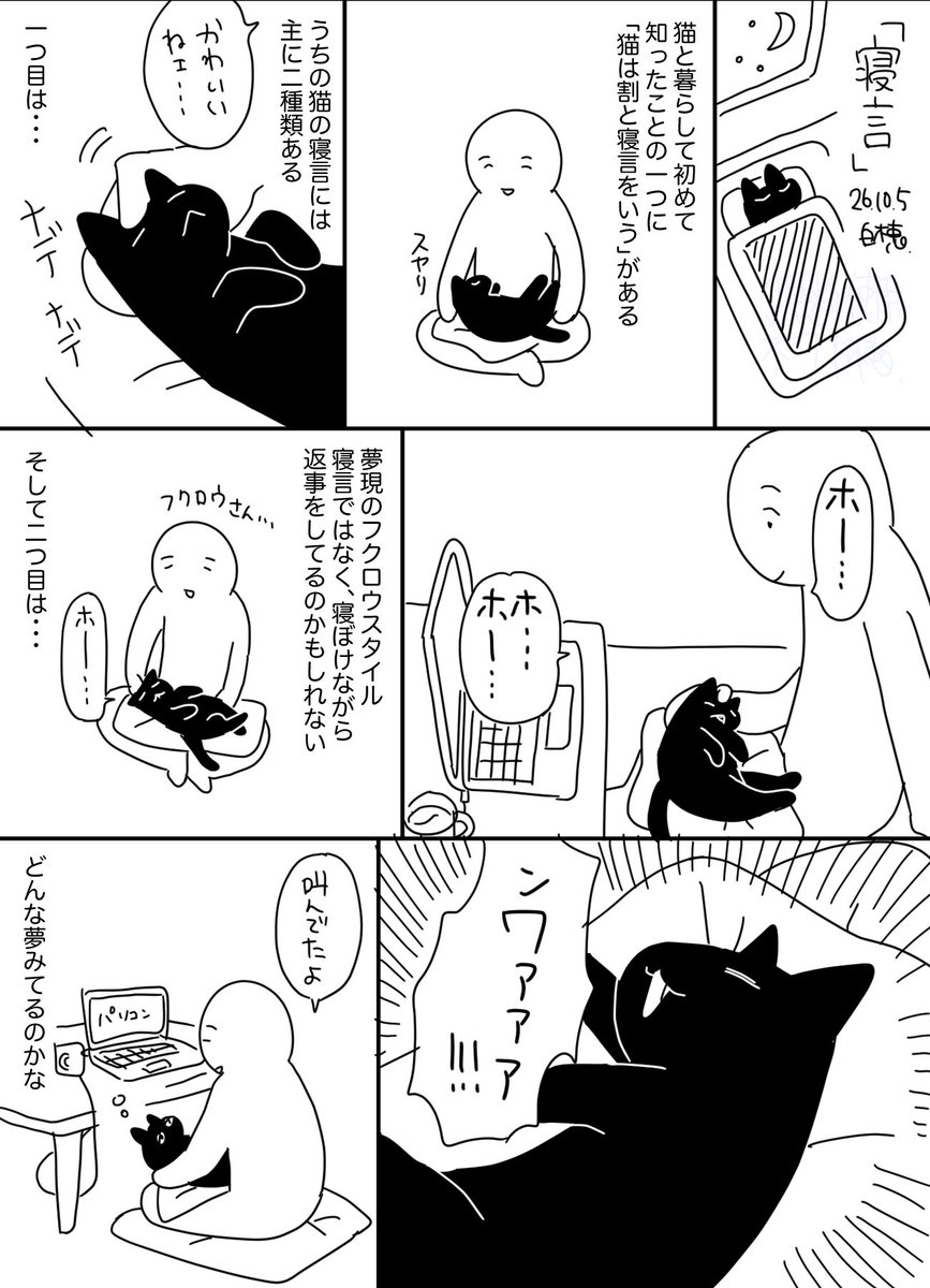 smilecat_uk's tweet photo. 割と大きい
#日記 https://t.co/1Mh0xMvpwD