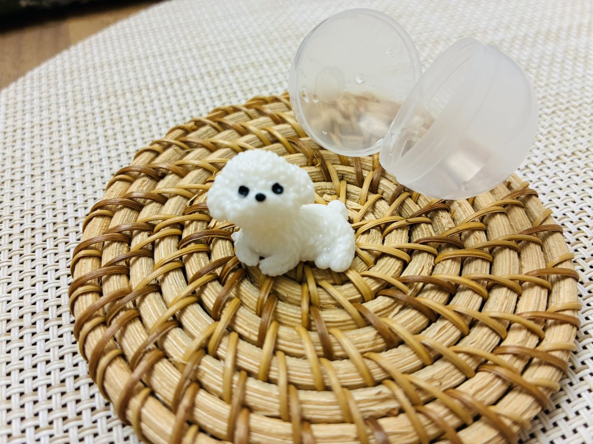 micamahina's tweet photo. 今夜は浴槽の湯温を1度上げました。100円ショップで買ったバスボールからとっても可愛い子が出てきた😍 https://t.co/beXhUWhmfy