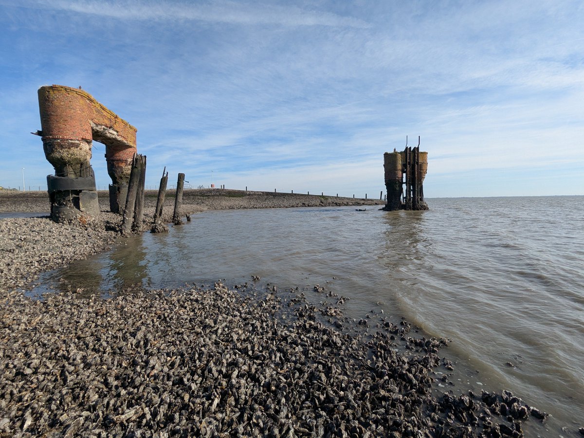 Nordwestroute's tweet photo. Mahlzeit aus Eckwarderhörne... #Fedderwardersiel #butjadingen #nordsee #wesermarsch #Burhave #tossens #eckwarderhörne #Ruhwarden https://t.co/jPQphPzmTV