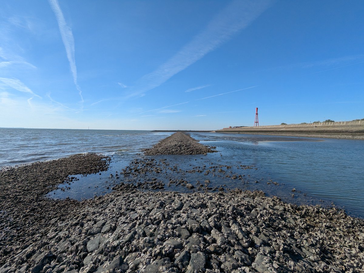 Nordwestroute's tweet photo. Mahlzeit aus Eckwarderhörne... #Fedderwardersiel #butjadingen #nordsee #wesermarsch #Burhave #tossens #eckwarderhörne #Ruhwarden https://t.co/jPQphPzmTV