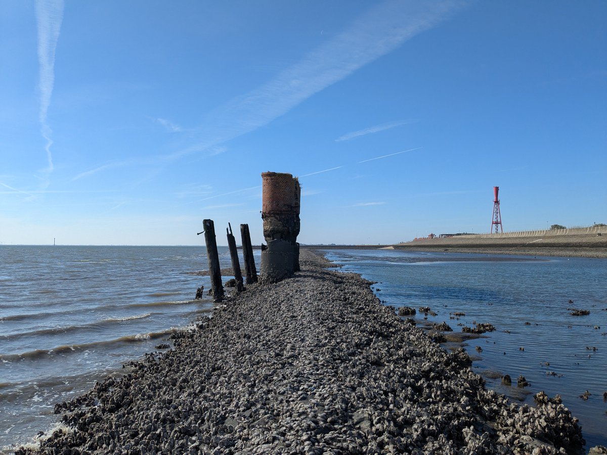 Nordwestroute's tweet photo. Mahlzeit aus Eckwarderhörne... #Fedderwardersiel #butjadingen #nordsee #wesermarsch #Burhave #tossens #eckwarderhörne #Ruhwarden https://t.co/jPQphPzmTV