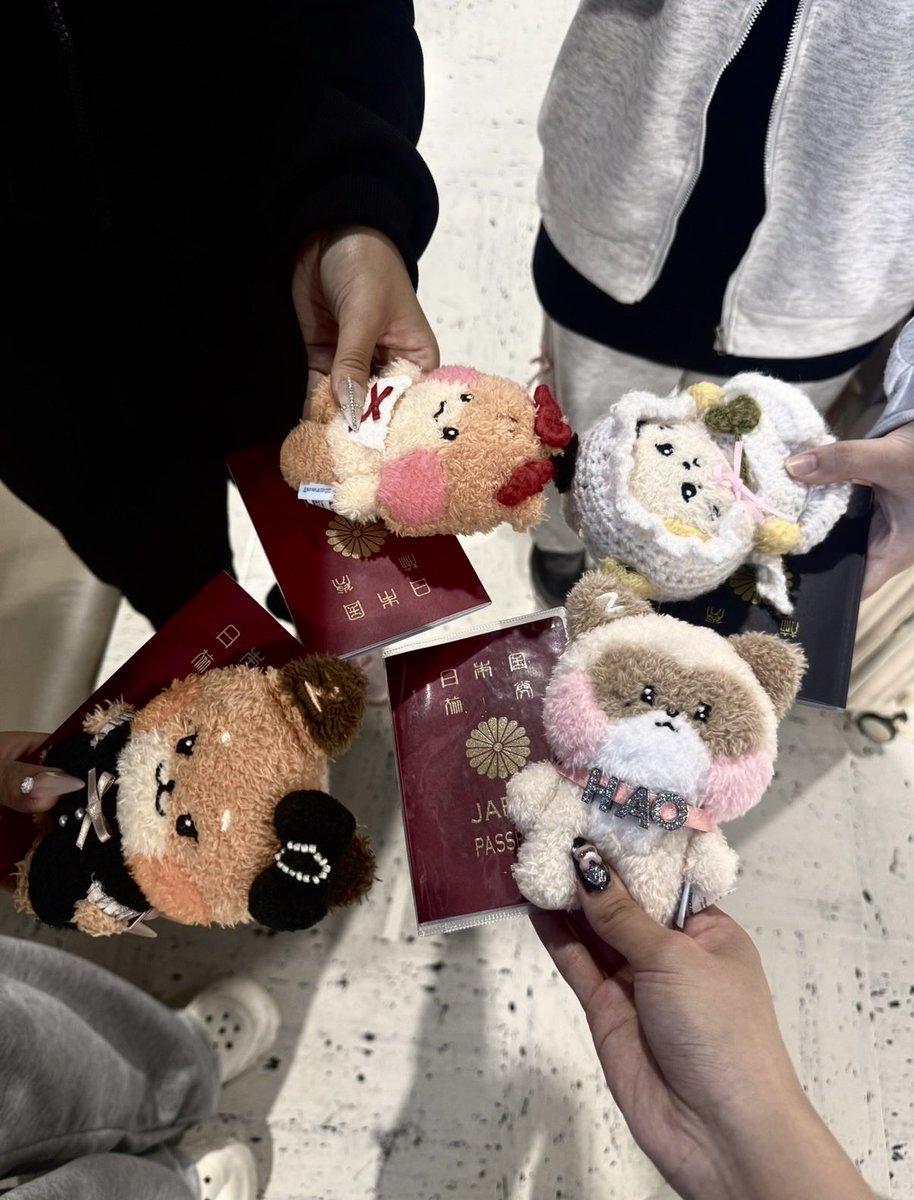 h4_cha0's tweet photo. 251003 ㅠㅠ🌹🖤
 
初渡韓、初自力チケッテイングで取れたゼベのライブから1年で涙 https://t.co/YeyfQADyKO