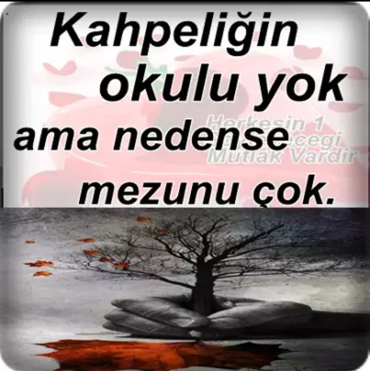 Mustafa93880376's tweet photo. @AliSere20 ÜLKESİNİ MİLLETİNİ  ŞAHSİ MENFAATLERİ VE ÇIKARLARININ ÜSTÜNDE TUTAN NAMUSLU ŞEREFLİ OMURGALI DURUŞUYLA GÖNÜLLERDE SEVGİ BIRAKIP ÖZLEM DUYULAN  DEĞERLİ SİYASET ADAMI BÜLENT ECEVİT'İ SAYGI SEVGİ ÖZLEM VE RAHMETLE ANIYORUM RUHU ŞAAD MEKANI CENNET KABRİ NUR OLSUN 🤲🤲😢😞🇹🇷🇹🇷🇹🇷🇹🇷🇹🇷 https://t.co/j1LFQuLE7v