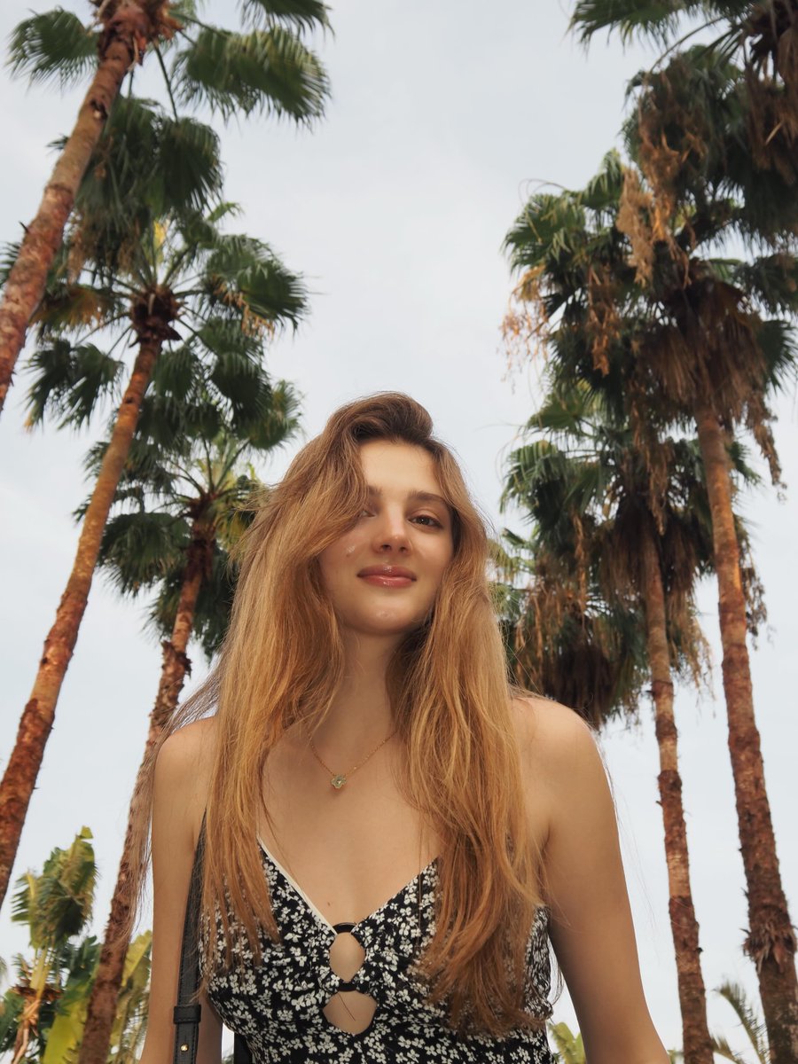 prettyblossom70's tweet photo. Palm trees and blue skies, literal perfection. #VacationTime https://t.co/I9pR3v3gBV