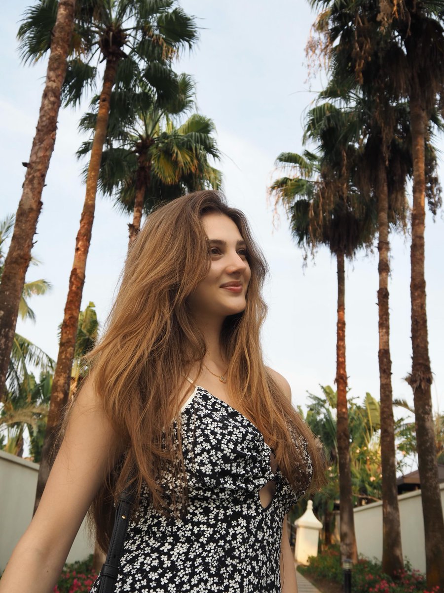 prettyblossom70's tweet photo. Palm trees and blue skies, literal perfection. #VacationTime https://t.co/I9pR3v3gBV