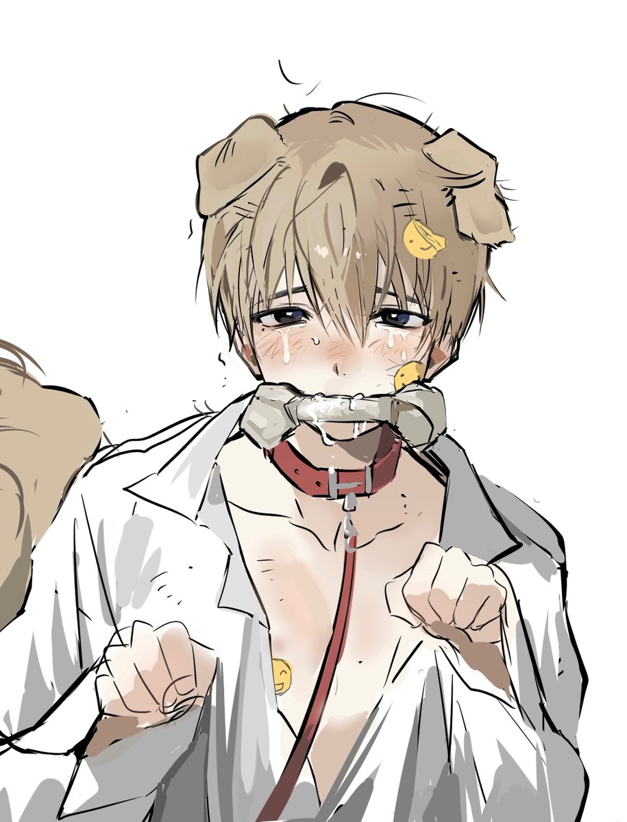 ShotaLovesisa's tweet photo. Dog https://t.co/vGLJuuabEg