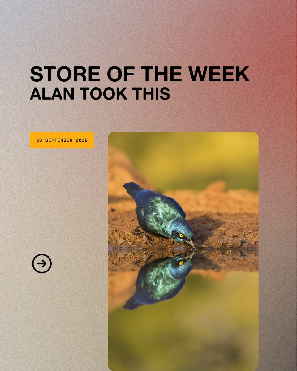 Picfair's tweet photo. Alan Grant's store is a showcase for patient, precise wildlife photography.

https://t.co/xZWi7LJhEI

#Picfair

_

Create your Picfair store today and join over 1,000,000 #Photographers selling their photos with their own website! https://t.co/gbBDtKVSkh