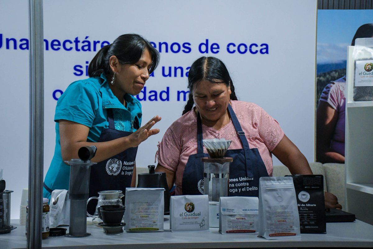 UNODCBolivia's tweet photo. De Los Yungas a la #Expocruz2026

En la #Expocruz2026, productores de Los Yungas compartieron la historia detrás de su café y el impacto del proyecto de desarrollo alternativo impulsado por la UNODC, con financiamiento de KOICA. https://t.co/KHrBIQddDL