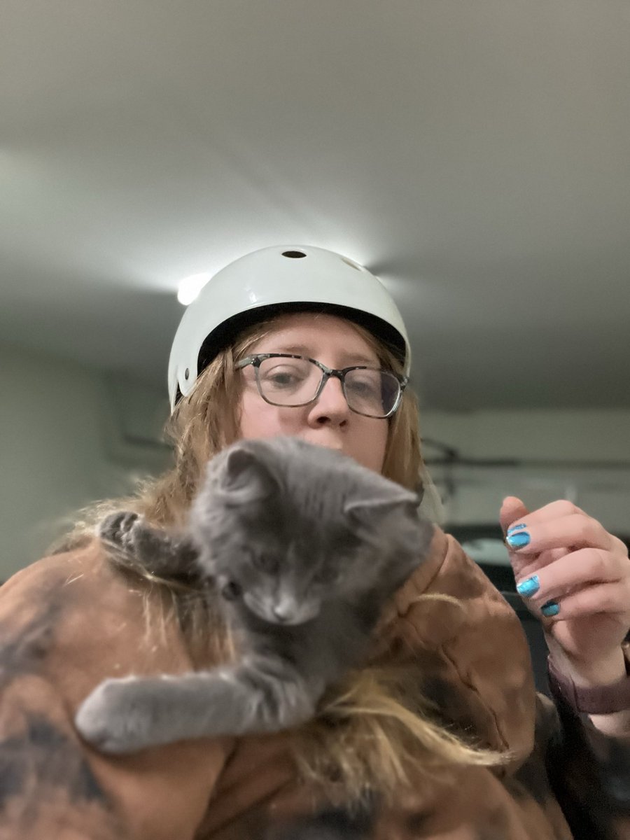amindccommittee's tweet photo. I was trying to make Katze a hoodie kitty https://t.co/shfIjDMwCc
