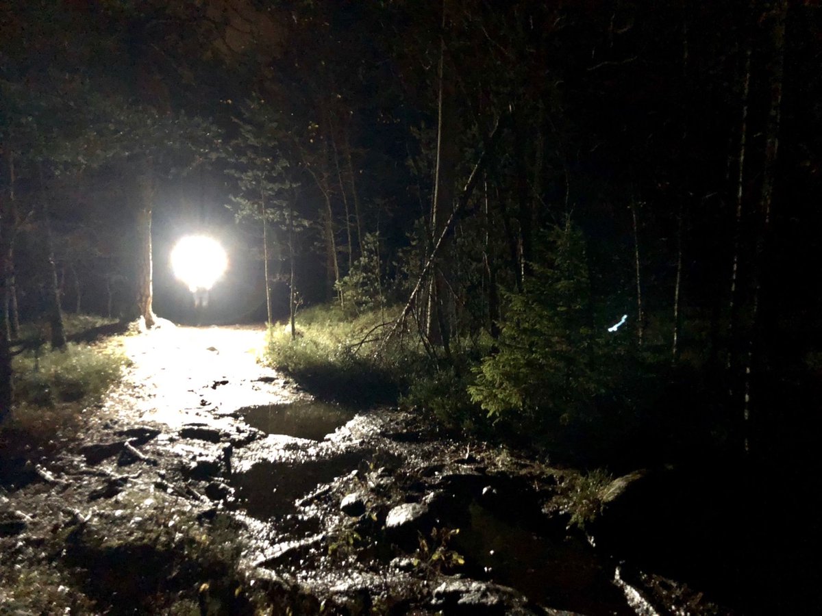 AngelikaBegtmg's tweet photo. Qué es ese extrao ruido cerca del lago en la noche El bosque se ve tan oscuro... https://t.co/9tQzRea7Ww