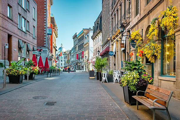 2TallTom's tweet photo. Taking my own advice, Fall in #Montreal.
It has been a while.
Off to Montreal this week.
Practicing my French.
#haiku #travel #cruise #rivercruise #ABD #Disney #DCL #follow #Azamara #AmaWaterways #TravelAgent
https://t.co/uw4gQasrM3 https://t.co/xfmmeSo7eG