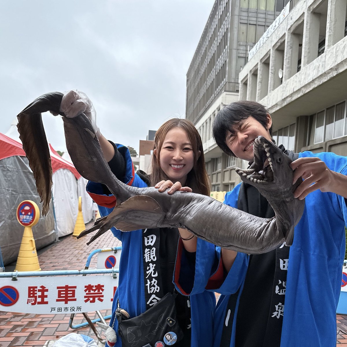 MLavca's tweet photo. 今年も「埼玉県戸田市」の戸田商工祭にて行われる戸田深海魚祭りでお手伝い&amp;物販をさせていただきます🙌🐟
ここまで大規模な深海魚タッチは中々ないので皆さまに楽しんでもらえる事間違いなし！日曜日には深海ザメの公開解剖も！
ぜひいらしてください！！
⭐︎10/24（土）25（日）埼玉戸田市役所周辺 https://t.co/kfD5dSQZ6i