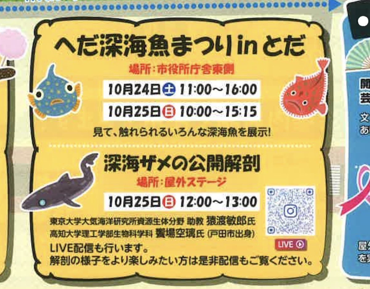 MLavca's tweet photo. 今年も「埼玉県戸田市」の戸田商工祭にて行われる戸田深海魚祭りでお手伝い&amp;物販をさせていただきます🙌🐟
ここまで大規模な深海魚タッチは中々ないので皆さまに楽しんでもらえる事間違いなし！日曜日には深海ザメの公開解剖も！
ぜひいらしてください！！
⭐︎10/24（土）25（日）埼玉戸田市役所周辺 https://t.co/kfD5dSQZ6i