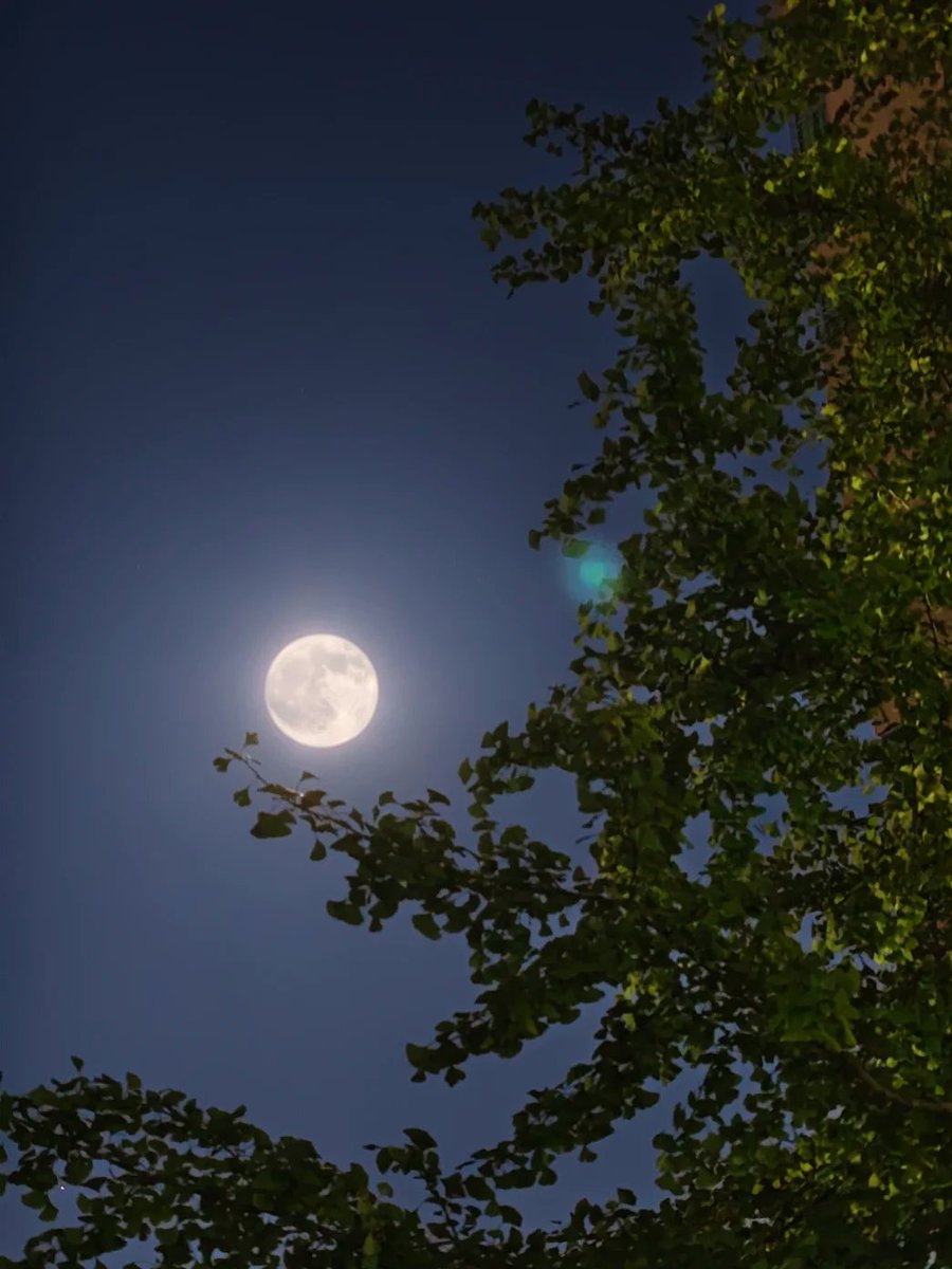 misuiobal's tweet photo. The night sky https://t.co/e6Dbrj18NV