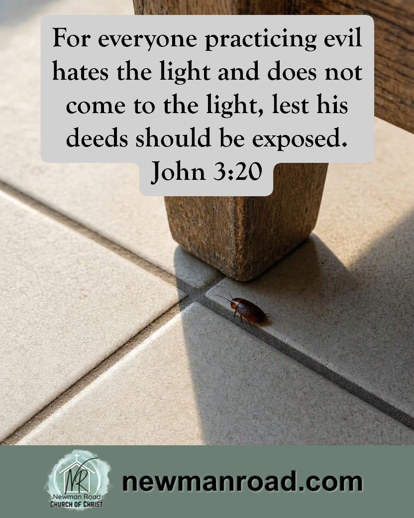 NewmanRdChurch's tweet photo. Visit us in Joplin, Missouri, or at our website https://t.co/lIPGNkUbch

#verseoftheday #christianity #ChurchOfChrist https://t.co/92wukjdlg0