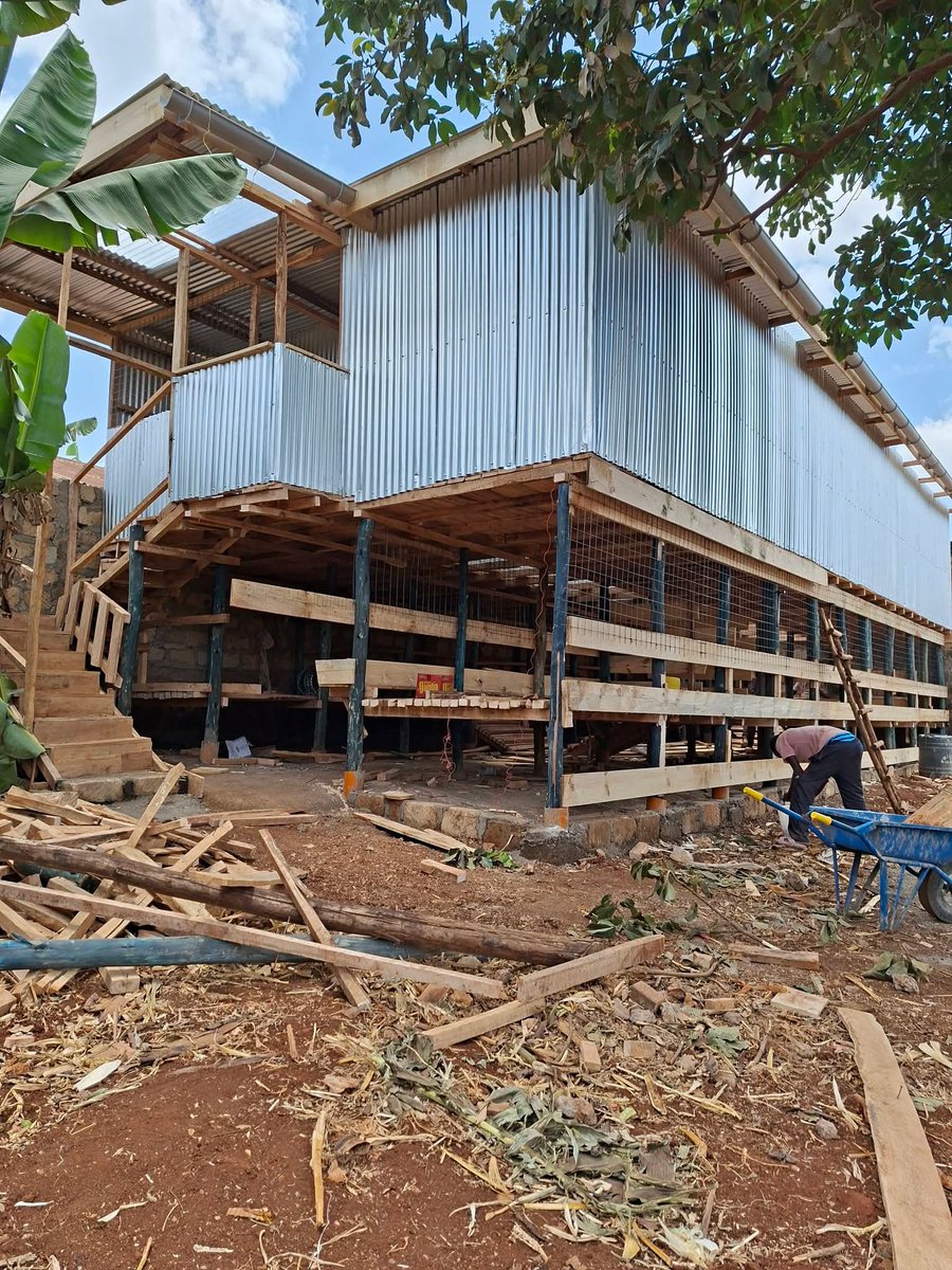 Optimismking's tweet photo. 1m budget GOAT Pen.

Does it Worth it...?🧏 https://t.co/VS2Ry6X0Gh