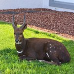Photo by PinnaclePointEstate (@PinnaclePEstate)