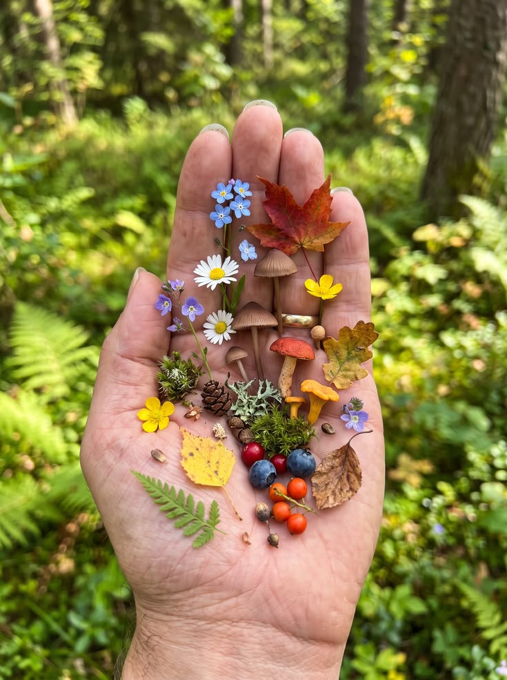 naturehealyou's tweet photo. https://t.co/iDtmY9KPz2