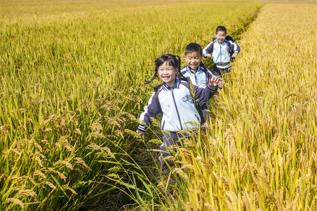 ValeriaBrifzg's tweet photo. [Hoy caminamos con paso firme por la senda del progreso, el optimismo y la prosperidad. （今日我们以坚定步伐走在进步、乐观与繁荣之路上）]， https://t.co/yB1mmZj7IZ