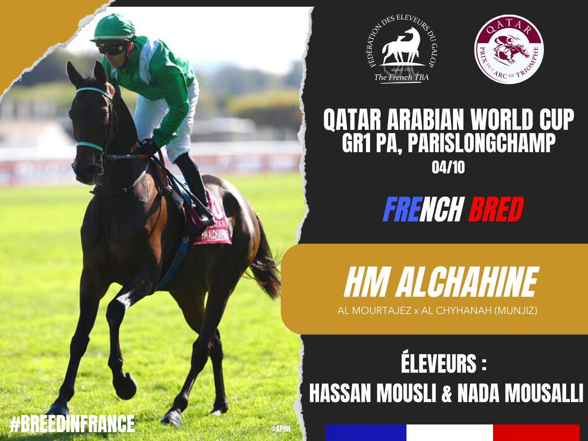 Fedeeleveurs's tweet photo. L'élève de Hassan Mousli et Nada Mousalli, HM ALCHAHINE, fils de #AlMourtajez, remporte son 6e Groupe 1 PA : la Qatar Arabian World Cup, ce dimanche 4 octobre sur l'hippodrome de @paris_longchamp ! 🎉Félicitations à tous ! 👏
#vivelelevagefrancais #BreedInFrance #RaceAndCare https://t.co/mVsn6sxtZz