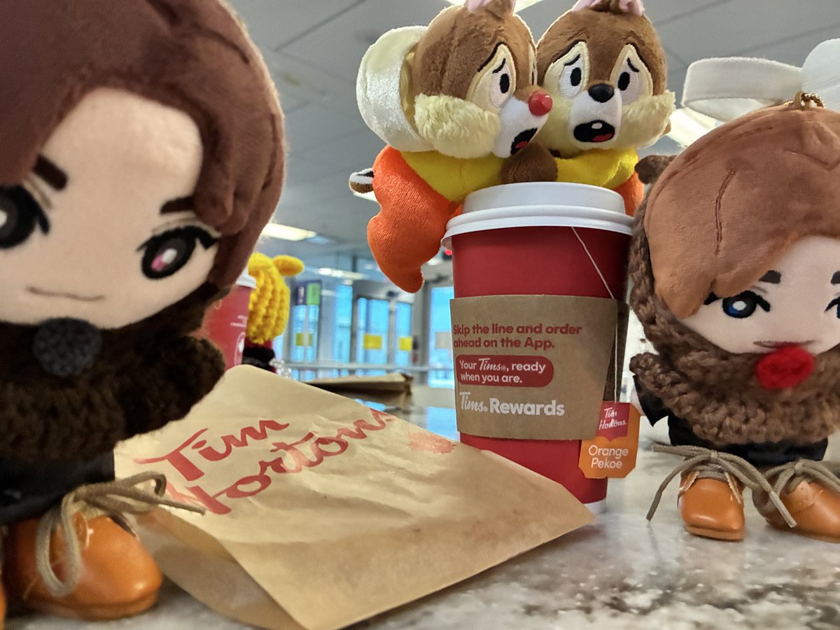 bunjiro0126's tweet photo. お迎えした次の日に🐿のコスプレをさせられてアメリカに飛んだギチギチ衣装が不満なうちのきょもじゅり

#みんなのストぬい見てみたい

なおアメリカでは一度も出番はなく帰ってきました https://t.co/cTzZXxwP7L