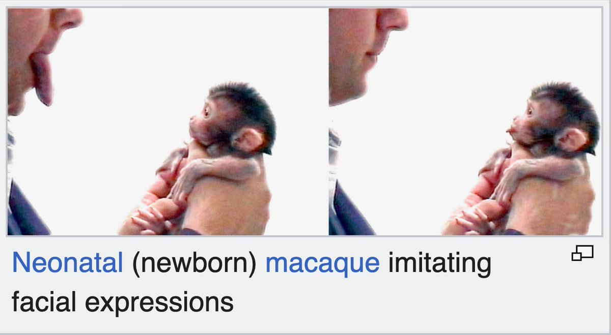 uipedrags's tweet photo. o crime é impossivel acabar totalmente porque a mente humana veio do macaco, um animal assassino https://t.co/HfAq89m2eI