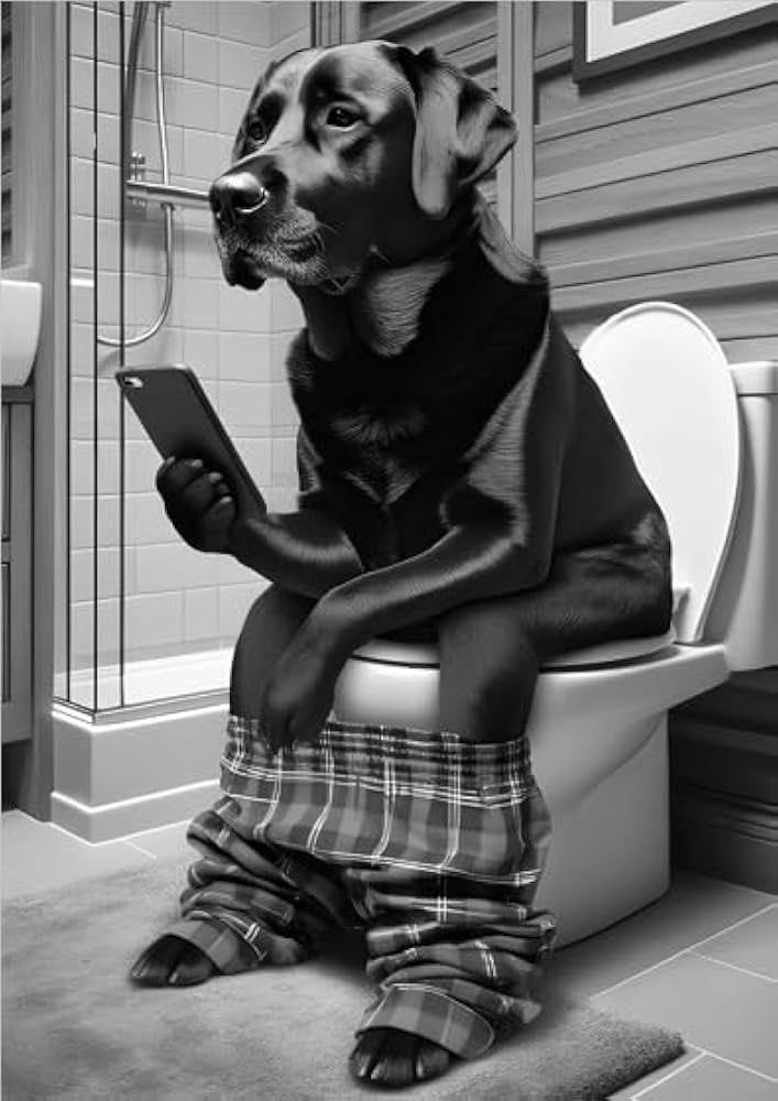 Bladogg's tweet photo. Is this your current position?😳 https://t.co/SRmuhBdxFg