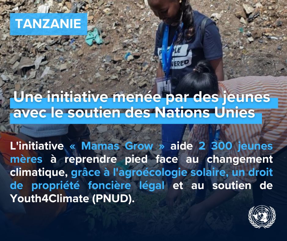 ONUGeneve's tweet photo. #Tanzanie : les jeunes créent des solutions innovantes face au changement climatique.

Découvrez l’initiative 'Mamas Grow' codirigée par le @pnud_fr destinée à aider les jeunes mères. Un modèle d’adaptation en Afrique &amp; au-delà.

https://t.co/CBTIjDY1vf
#Youth4Climate https://t.co/SjdesI8Wco