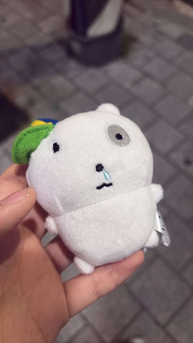 odidi_trust_'s tweet photo. 얼마주고 뽑앗게 https://t.co/nsDud1Fhkd
