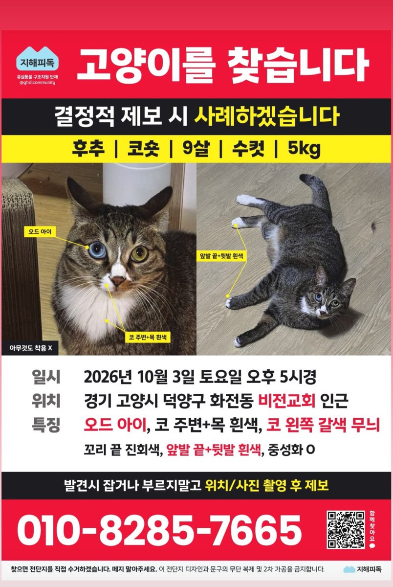 kiralist_'s tweet photo. 고양이를 찾습니다

실종고양이 : 코숏 갈색 고등어태비 
수컷 (중성화 완료) / 나이 : 9살 
이름 : 후추
실종날짜 : 2026년 10월 3일 오후 5시경 
실종장소 : 경기 고양시 덕양구 화전동 
특징 : 오드아이 (파란색 눈 + 금색 눈)

소중한 가족이 다시 집으로 돌아올 수 있게 많은 확산 부탁드립니다 https://t.co/57avi5ffSK