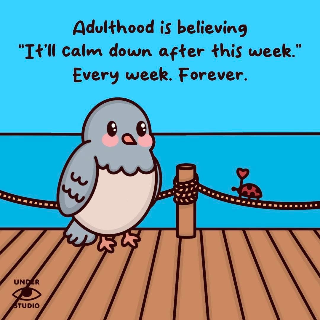 downthegravelrd's tweet photo. #adulting #jolenephilo #differentdream #specialneedsparenting https://t.co/JZ2f0plHp9